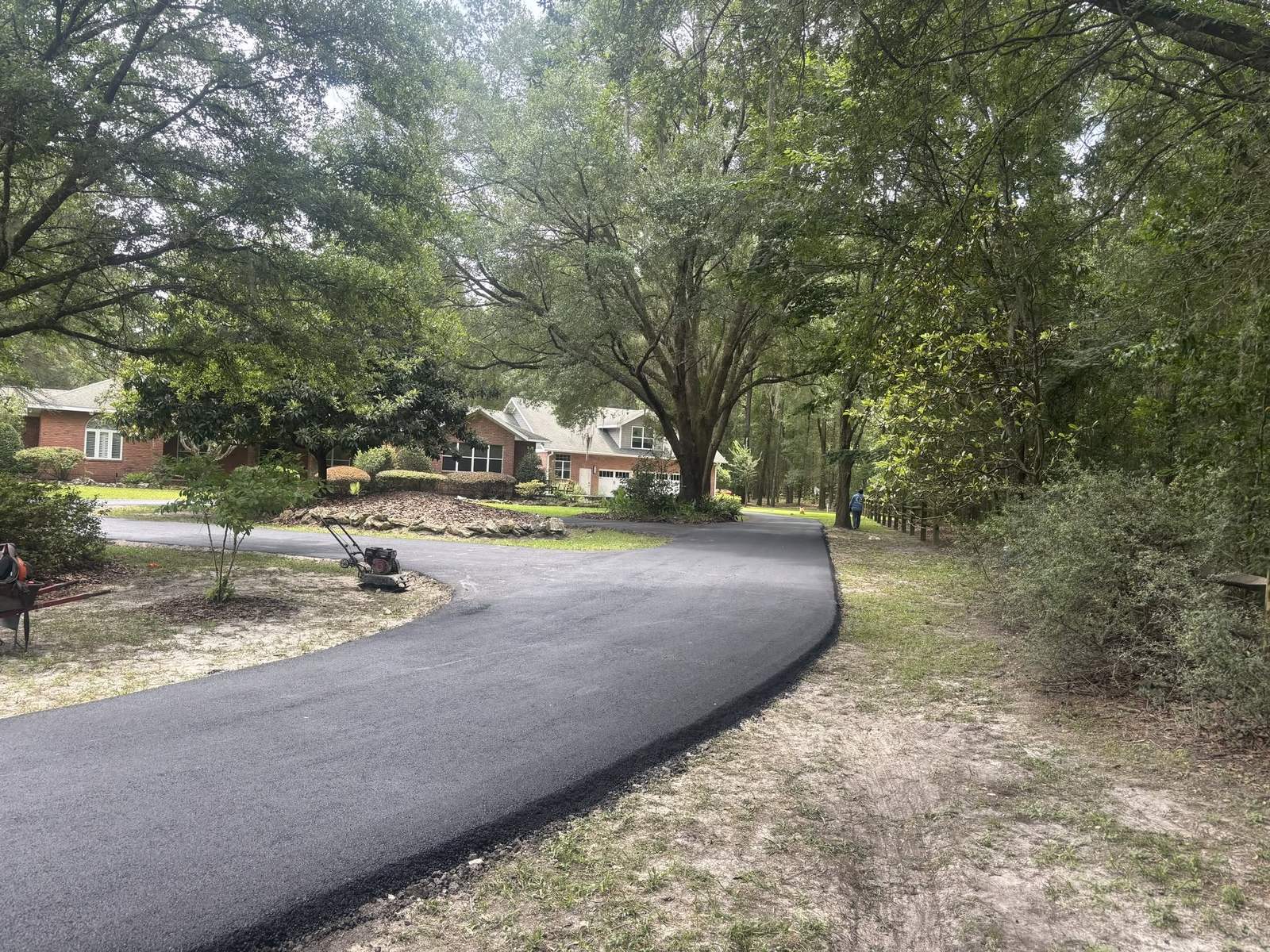 Curving asphalt driveway to a brick home under Gainesville oaks